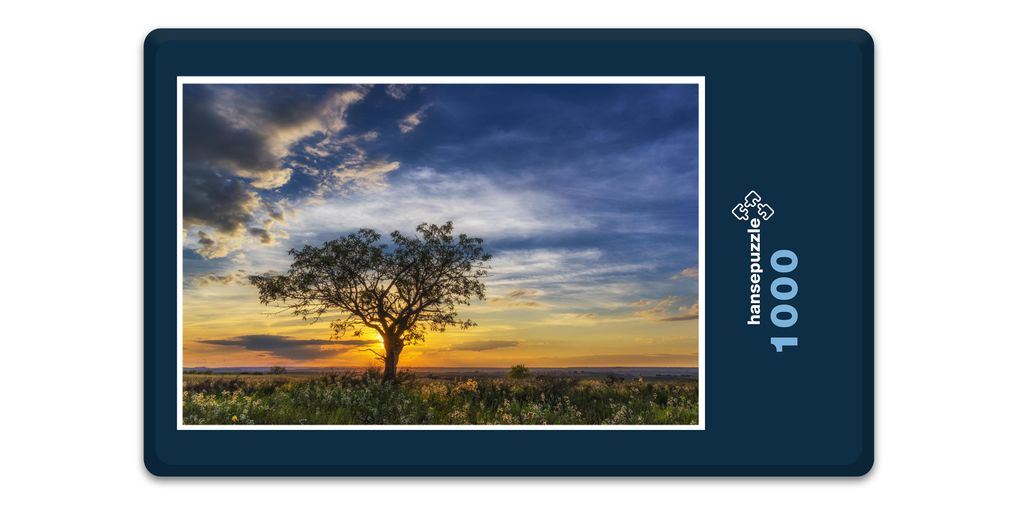 hansepuzzle 11727 - Sonnenuntergang Puzzle, 1000 Teile, Natur, 60,0 x 46,0cm mit hochwertiger Aufbewahrung, Kartonbox & Beutel
