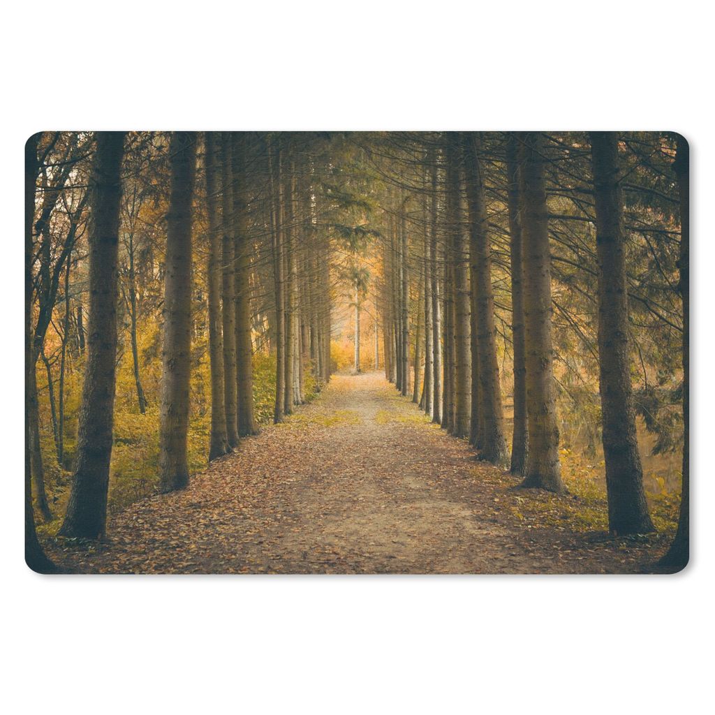 MuchoWow Schreibtischunterlage Pfad - Bäume - Wald 60x40 cm - XXL Mauspad - Großes Mauspad