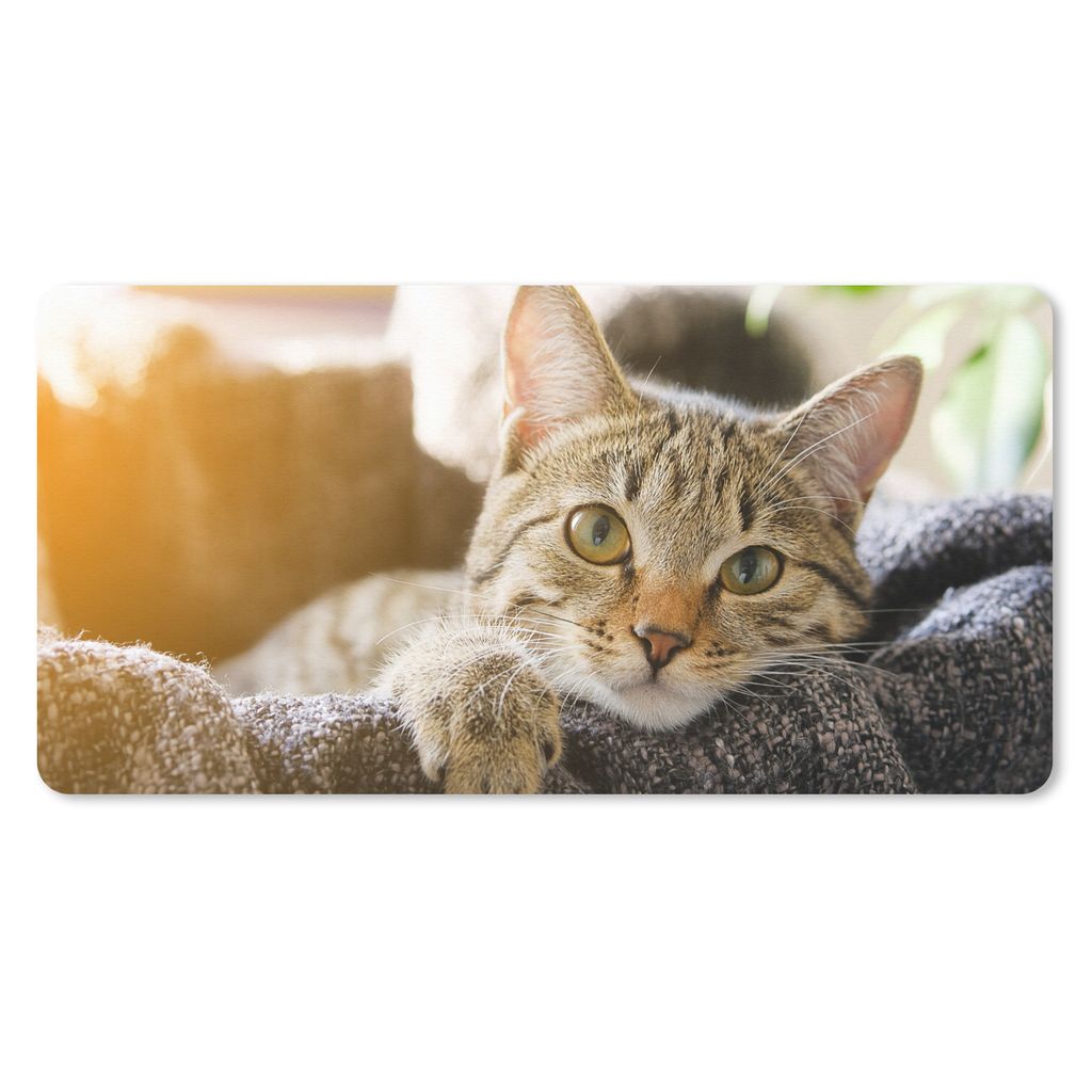 MuchoWow Mauspad Mousepad Katze - Korb - Vorleger 60x30 cm - Mousepads - Maus Mat - Pad - Mausunterlage - Nachhaltig