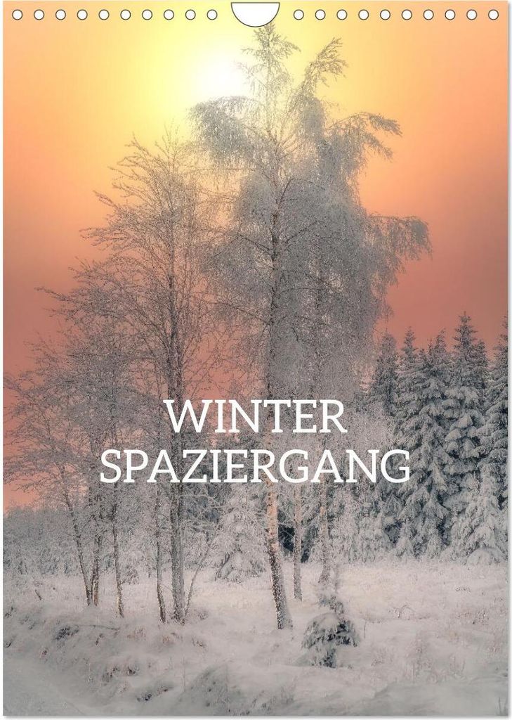 Winter Spaziergang (Wandkalender 2026 DIN A4 hoch), CALVENDO Monatskalender