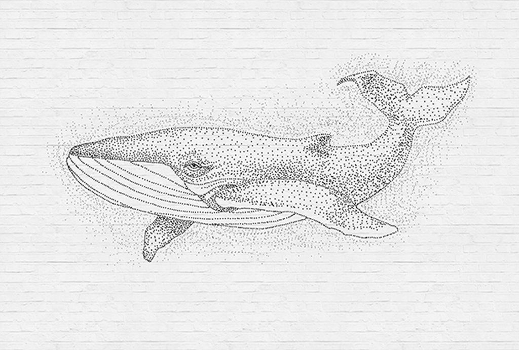 Tadessi Fototapete | Tiere | 4.00 m x 2.70 m | Weiß | Schwarz | Wandbild | Digitaldruck