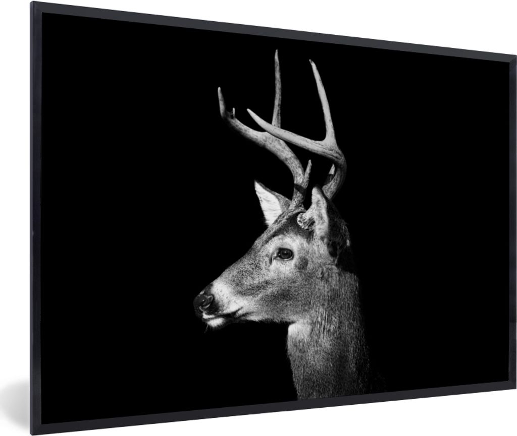 MuchoWow MuchoWow Gerahmtes Poster Weißwedelhirsch auf schwarzem Hintergrund 90x60 cm - Poster mit zchwarzem Bilderrahmen - Fotorahmen - Foto-...