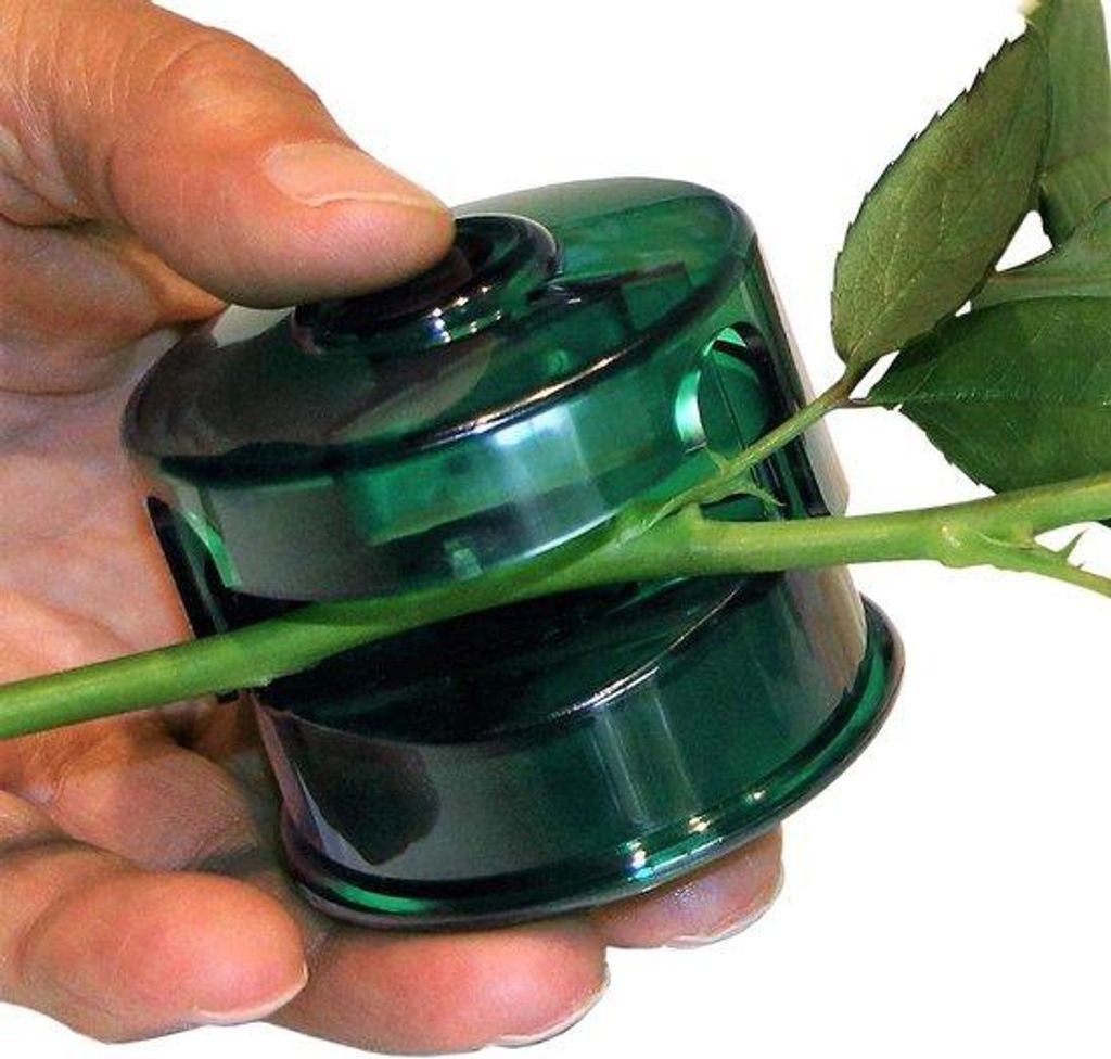 Utensile manuale per il taglio dei fiori recisi - Regalo Immagine del prodotto 