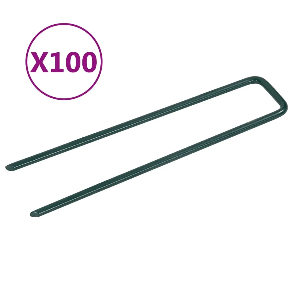 Fixez votre gazon sans plis avec les 100 clous en U vidaXL fer stable