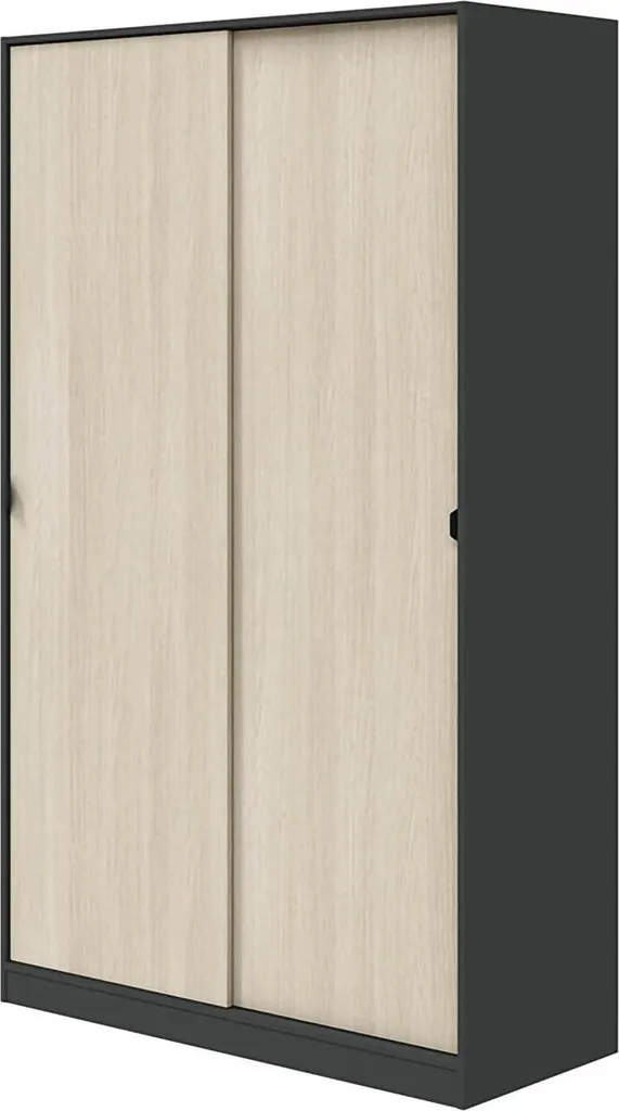 Armoire 2 Portes 120x200 cm Noir Anthracite Fiora : Finissez le Désordre