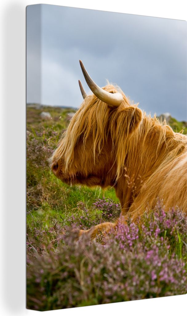 OneMillionCanvasses® - Leinwandbilder - 90x140 cm, Scottish Produktbild 