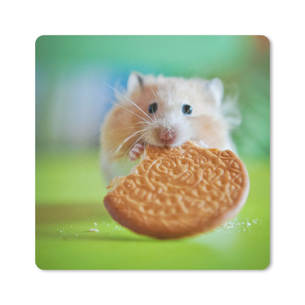 MuchoWow Mauspad Mousepad Hamster mit einem halb aufgegessenen Keks 30x30 cm - Mousepads - Maus Mat - Pad - Mausunterlage - Gaming