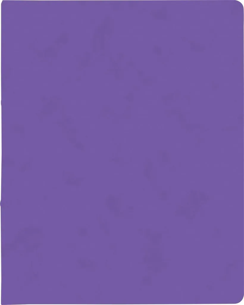Petit Classeur A4 Violet pour Présentation et Archivage Léger - 10p