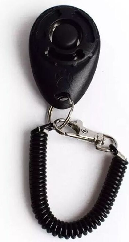 Haustier-Clicker 6 x 4 x 1,75 cm Schwarz Produktbild 