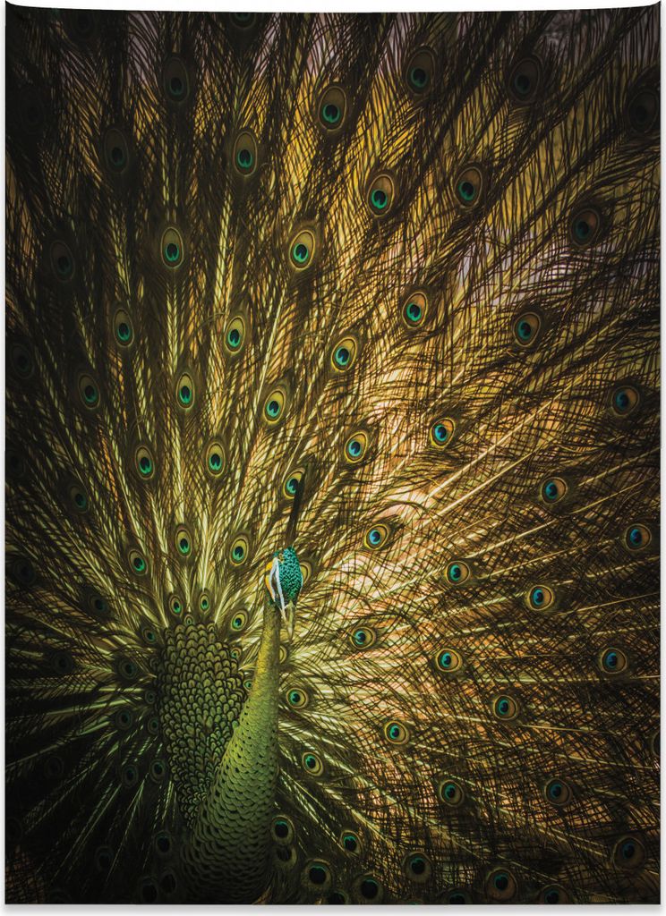 Abakuhaus Pfau Wandteppich, Exotische dunkle Federn aus Weiches Mikrofaser Stoff Kein Verblassen Klare Farben Waschbar, 110 x 150 cm, Senf Grün