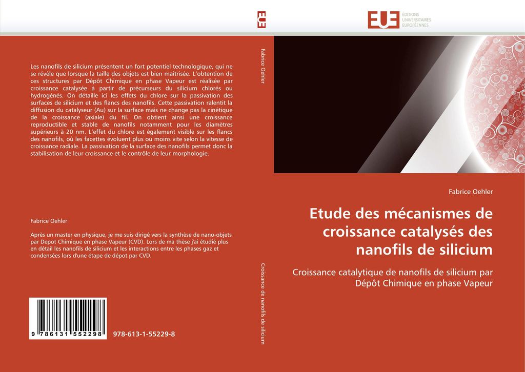 Etude des mécanismes de croissance catalysés des nanofils de silicium