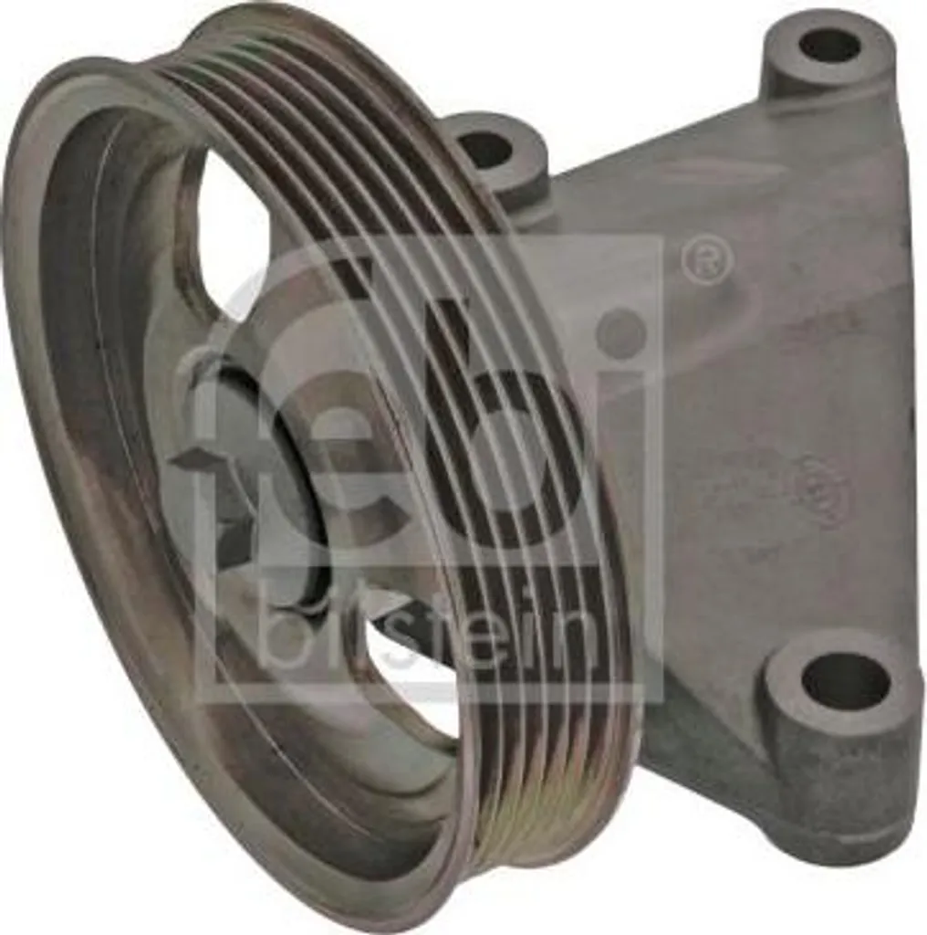 Galet de renvoi FEBI BILSTEIN 100173 pour courroie d'accessoires 5706L7