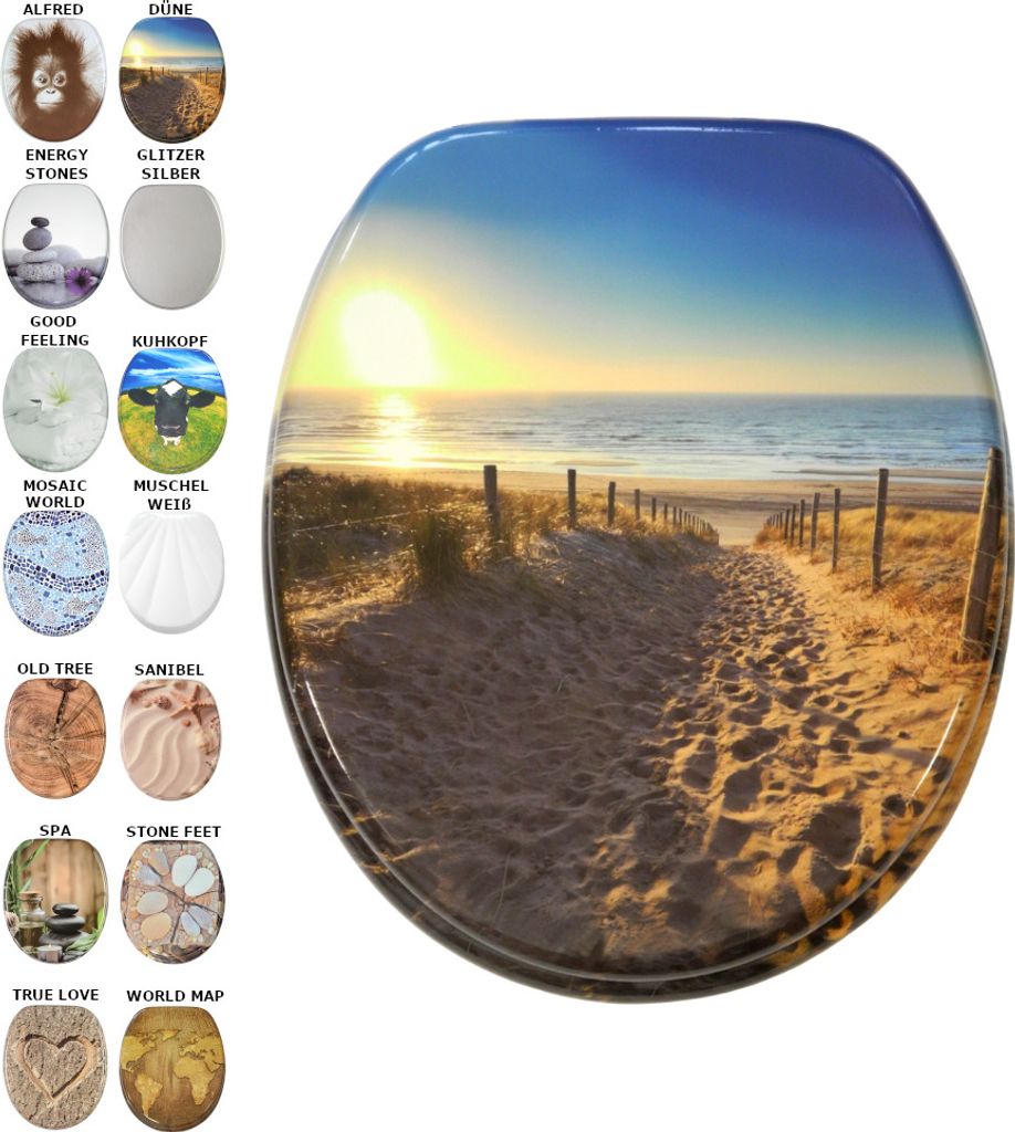 A collage of different toilet seat designs with a large image of a beach path at sunset in the center.