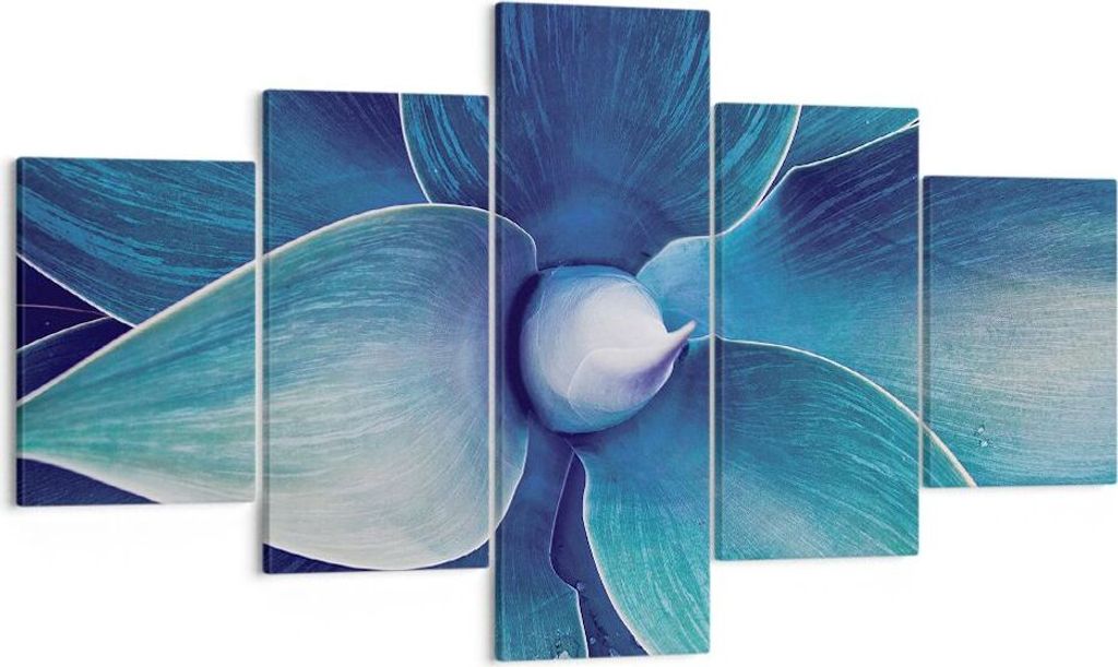 Bild auf Leinwand - Leinwandbild - 5 Teile - Agave Blau Blume - 125x70cm - Wand Bild - Wanddeko - Wandbilder - Leinwanddruck - Bilder - Wanddekorat...