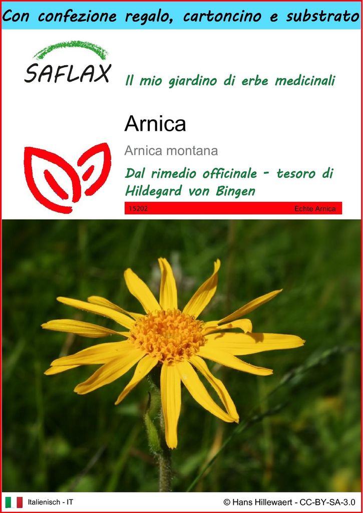 SAFLAX Set regalo - Arnica  - 40 semi - Arnica Immagine del prodotto 