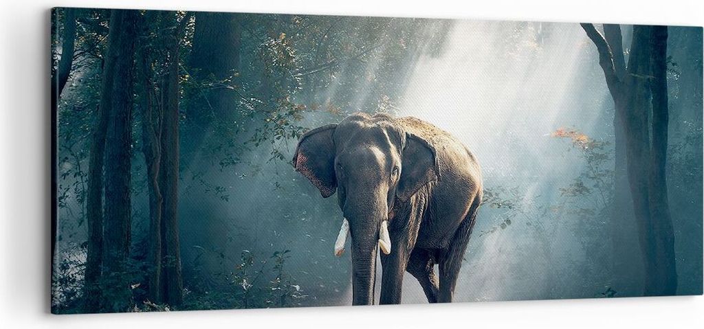 Bild auf Leinwand - Leinwandbild - elefant natur - 100x40cm - Wand Bild - Wanddeko - Wandbilder - Leinwanddruck - Bilder - Kunstdruck - Wanddekorat...