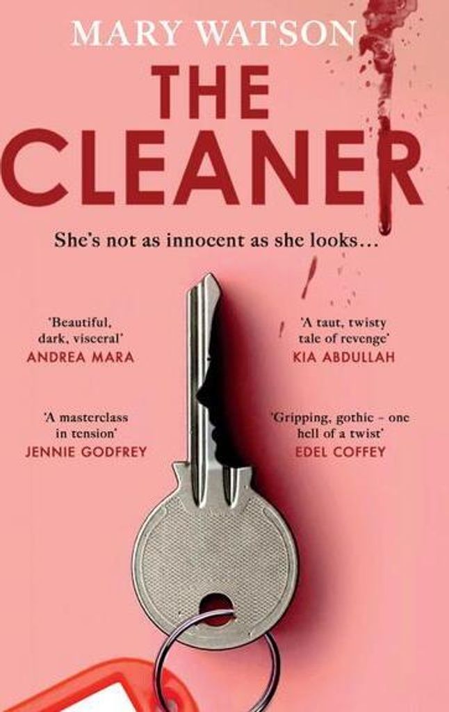 The Cleaner