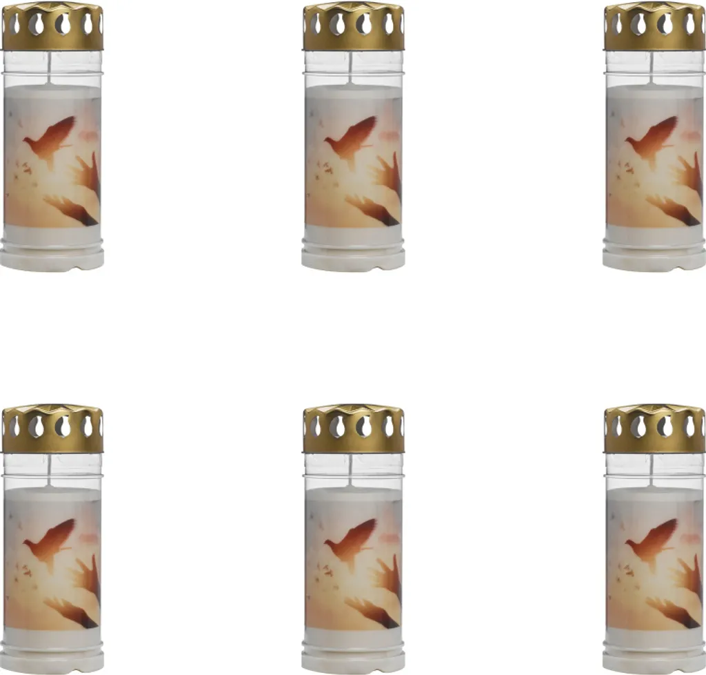 Bougies Commémoratives Anti-Vent 120H Colombe - Pack de 6 Bolsius