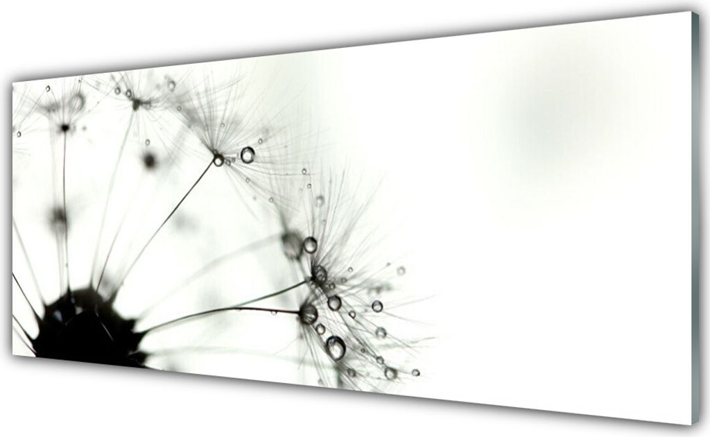 Acrylglasbilder 125x50 Wandbild Druck Pusteblume Pflanzen