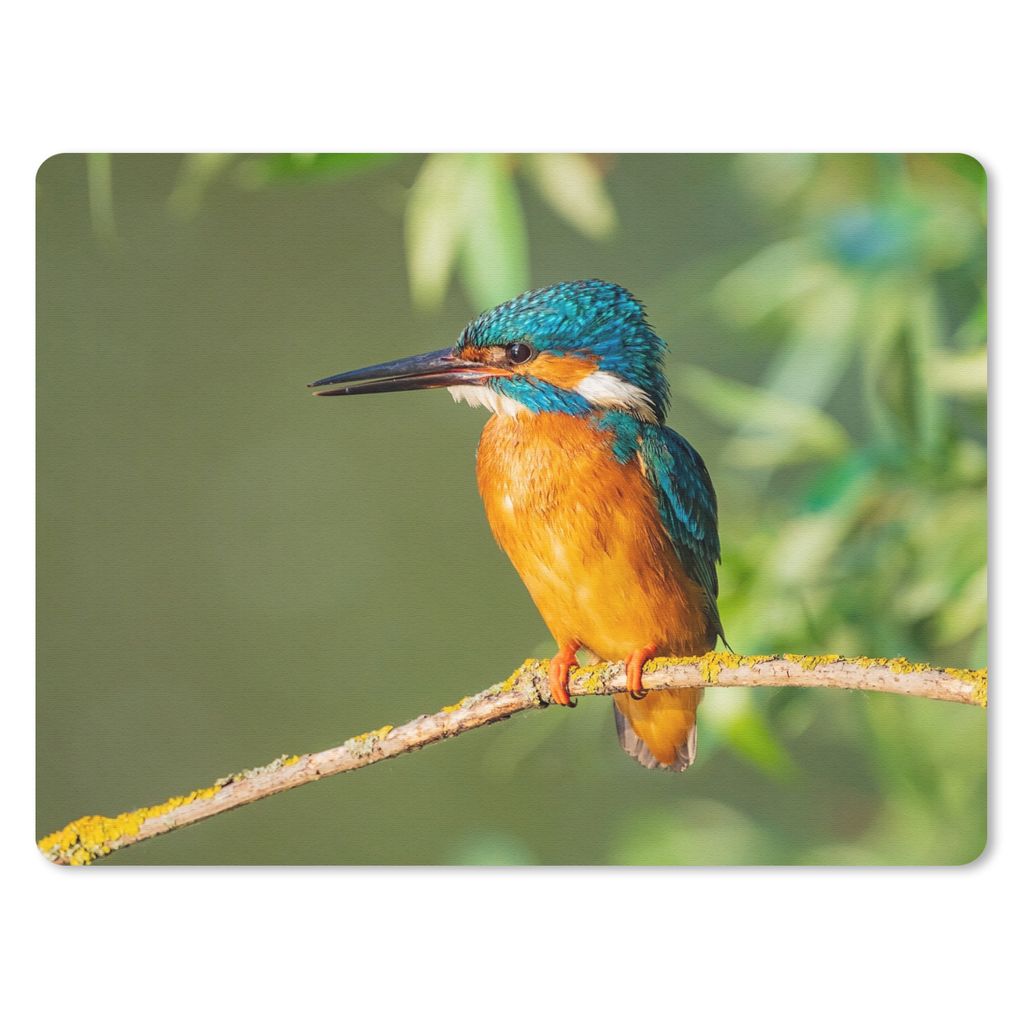 MuchoWow Mauspad Mousepad Vogel - Eisvogel - Zweig - Blätter - Moos 23x19 cm - Mousepads - Maus Mat - Pad - Mausunterlage - Schreibtischunterlag...