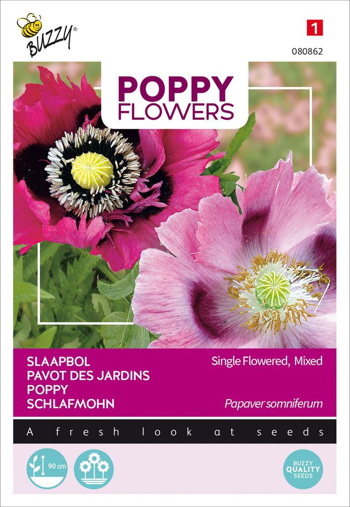 Mohnblume Somniferum Mischung | Mohnsamen von Buzzy Seeds Produktbild 