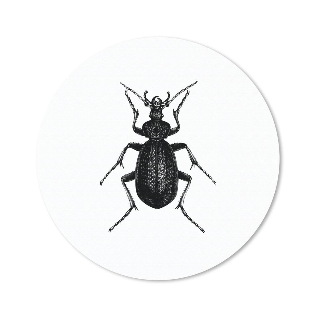 MuchoWow Mauspad Mousepad Schwarz und weiß - Käfer - Vintage - Insekten 40x40 cm - Mousepads - Maus Mat - Pad - Mausunterlage - Schreibtisch Ac...