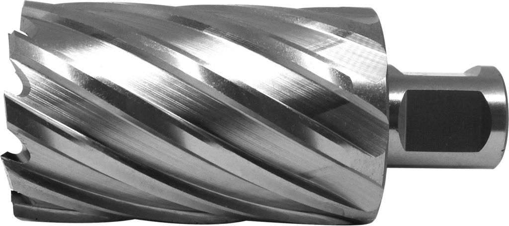 PAULIMOT HSS-Kernbohrer mit Bohrtiefe 55 mm, Ø 45 mm