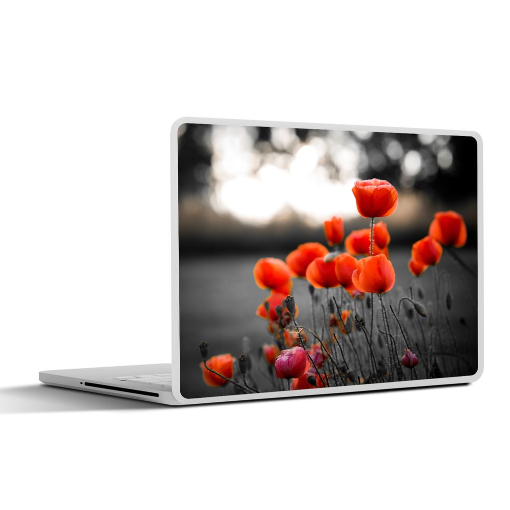 MuchoWow Laptop Aufkleber Sticker Cover Rote Mohnblumen vor schwarzem und weißem Hintergrund 36.5x27.5 cm - Laptop-Sticker