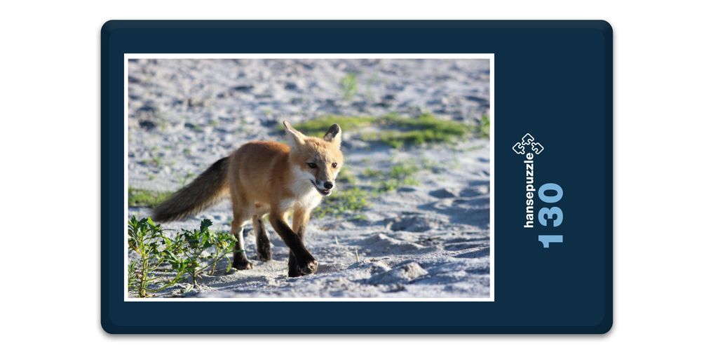 hansepuzzle 17234 - Fuchs Puzzle, 130 Teile, Tierwelt, 28,7 x 20,0cm mit hochwertiger Aufbewahrung, Kartonbox und wiederverschließbarem Beutel