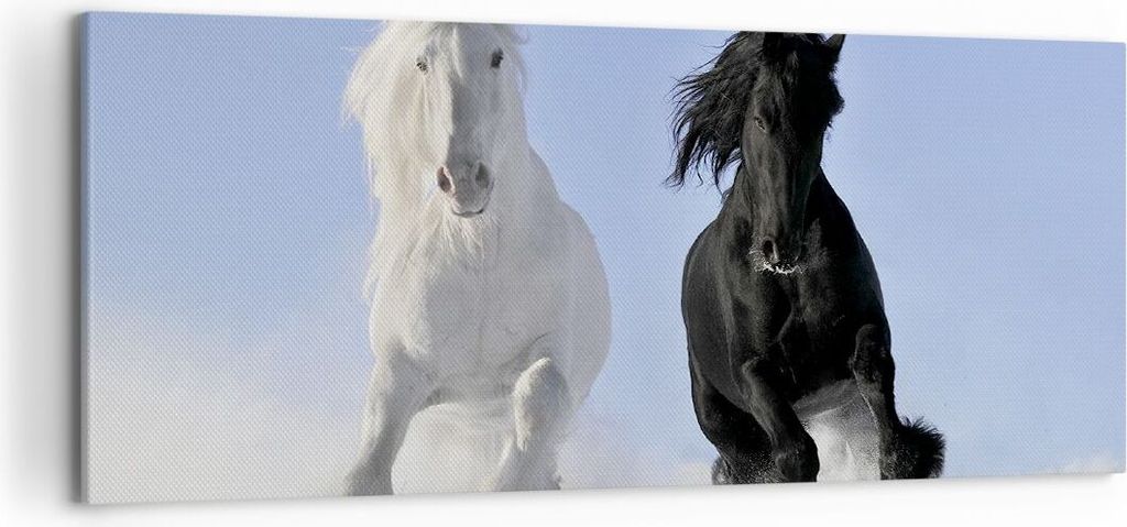 Bild auf Leinwand - Leinwandbild - Tiere Schönheit Wettbewerb - 120x50cm - Wand Bild - Wanddeko - Leinwanddruck - Bilder - Kunstdruck - Wanddekora...