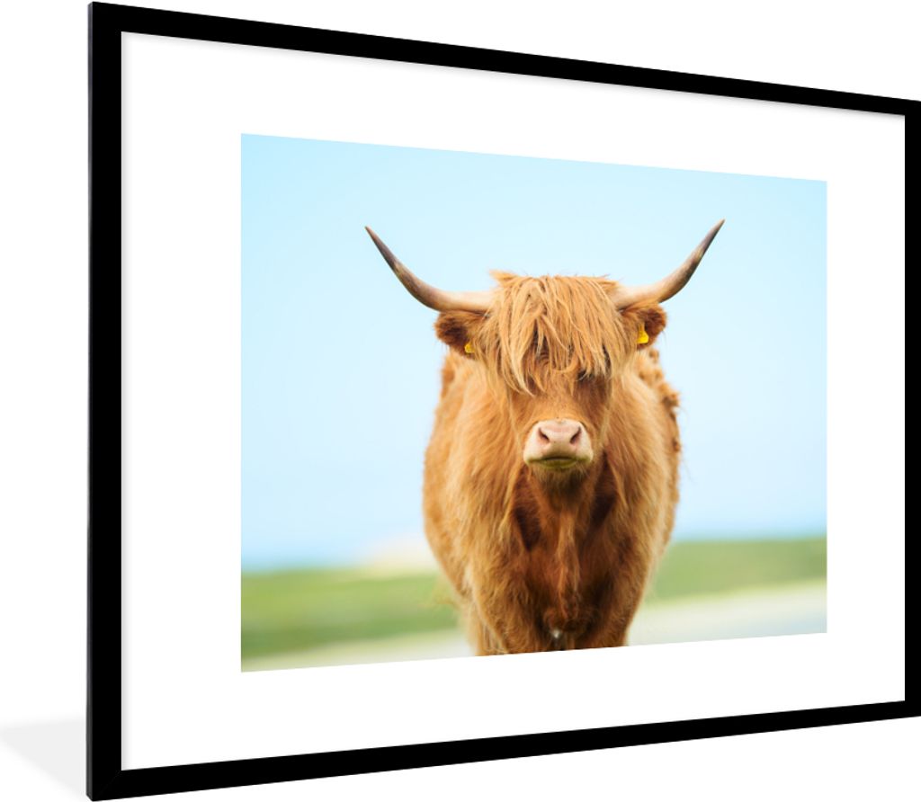 MuchoWow Gerahmtes Poster Schottischer Highlander - Haare - Gras 80x60 cm - Poster mit Schwarzem Bilderrahmen Wandposter Rahmen Foto Bilder - Sch...