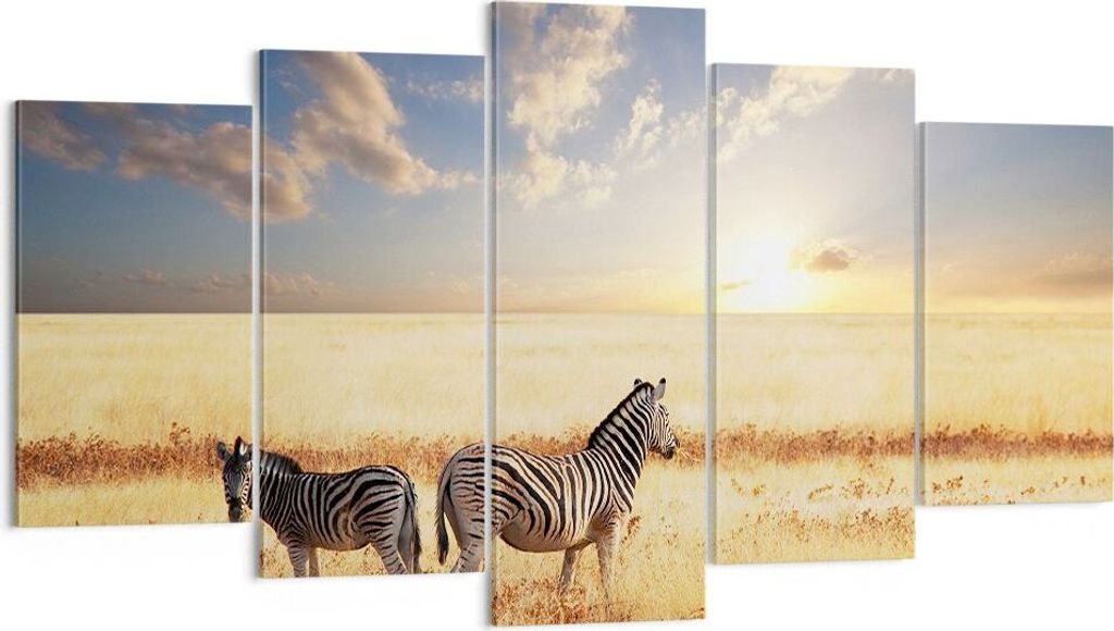 Bild auf Leinwand - Leinwandbild - Zebra tier gestreift savanne - 160x85cm - Wand Bild - Wanddeko - Leinwanddruck - Bilder - Kunstdruck - Wanddekor...