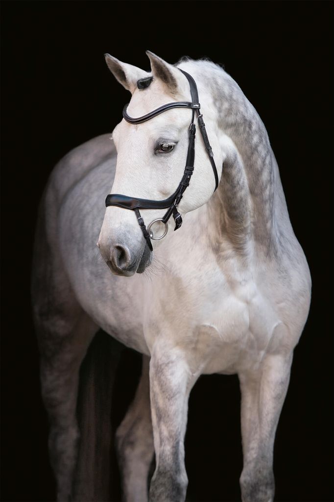 Trensenzaum Equitus Alpha black/silver Warmblut Produktbild 3