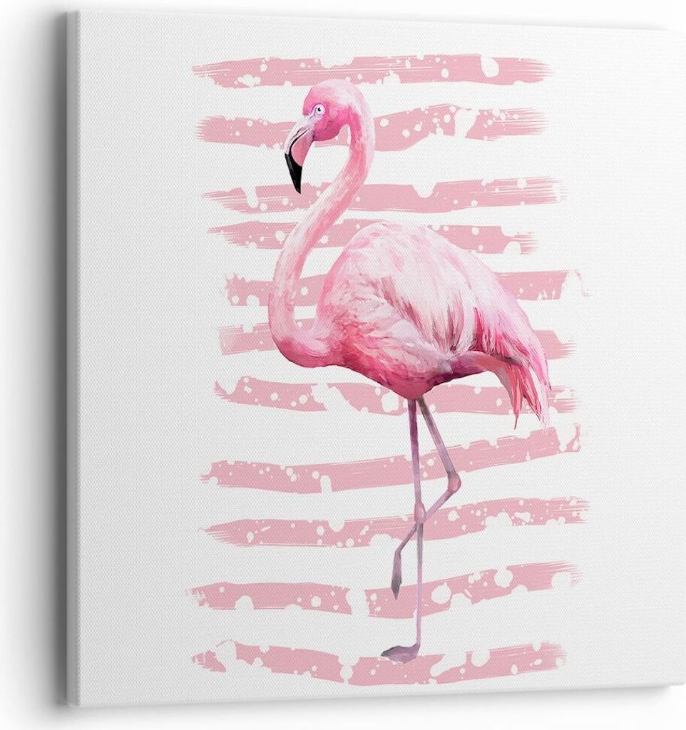 Bild auf Leinwand - Leinwandbild - Flamingo Vogel Wasser - 40x40cm - Wand Bild - Wanddeko - Leinwanddruck - Bilder - Kunstdruck - Wanddekoration - ...