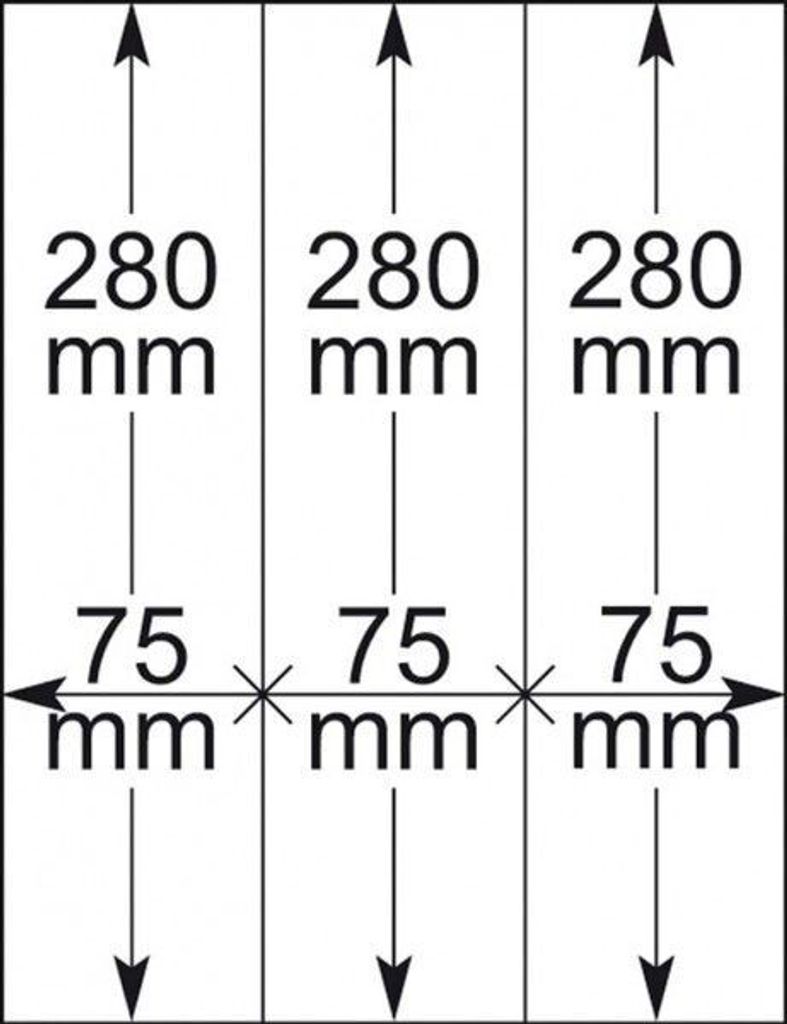 Lindner 802121P T-Blanko-Blätter - 10er-Packung