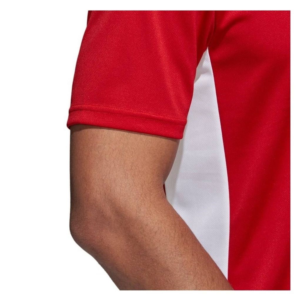 Adidas Koszulki Entrada 18, CF1038, Größe: 176 Zdjęcie produktu 6