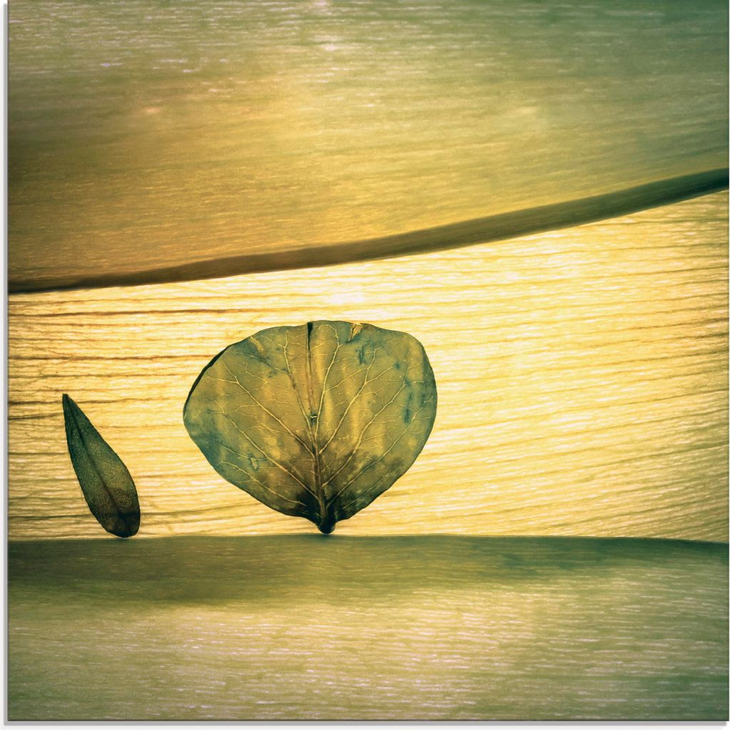 ARTland Glasbild Frühling? Größe: 50x50 cm