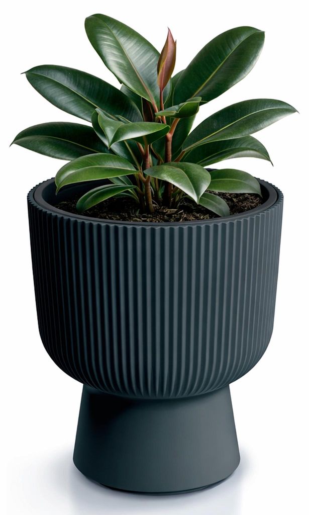 Anthrazitfarbener Einsatz Blumentopf MILLY DBMIG300-S433 Produktbild 