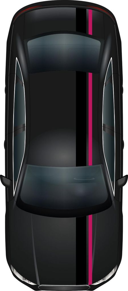 Rennstreifen Set Schwarz Glanz/Pink Streifen Stripes Zubehör Auto Haube Dach
