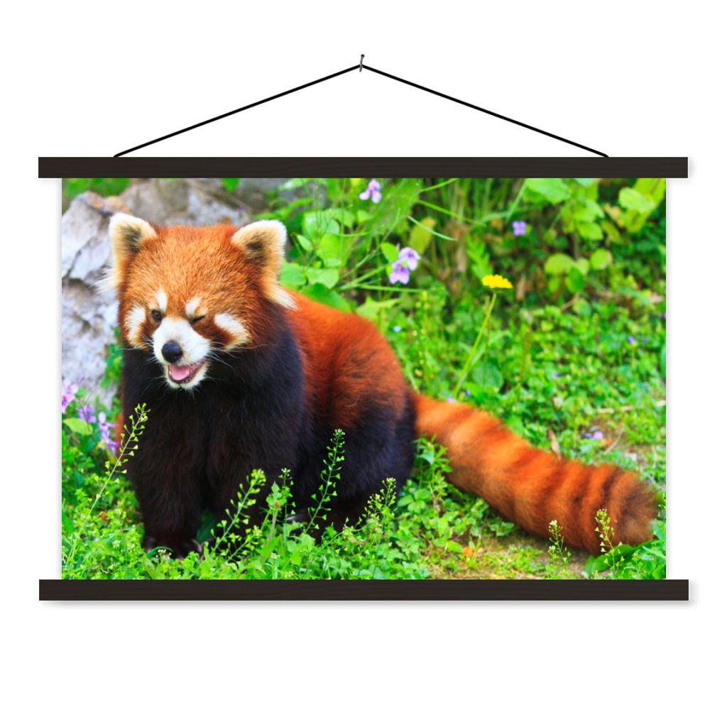 MuchoWow Textilposter Roter Panda - Grün - Gras 120x80 cm mit schwarzem Rahmen - Wanddeko