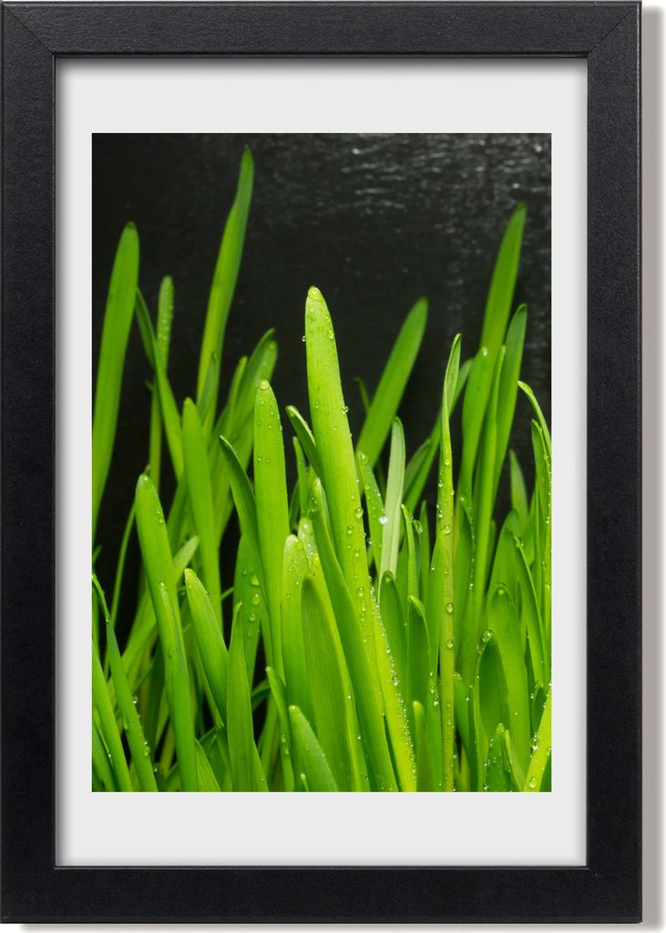 Bild 20x30 MDF-Rahmen, Wandkunst Grashalme