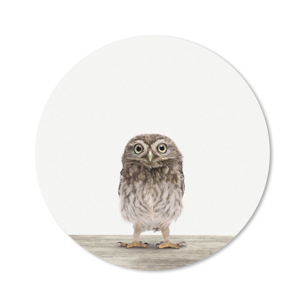 MuchoWow Mauspad Mousepad Tiere - Weiß - Eule 30x30 cm - Mousepads - Maus Mat - Pad - Mausunterlage - Tischunterlage - Schreibtischmatten