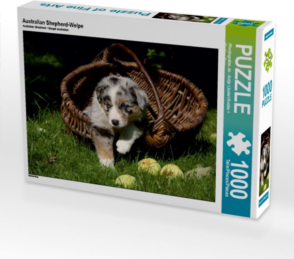Calvendo Australian Shepherd-Welpe 1000 Teile Puzzle quer 640x480mm, ; 7380781