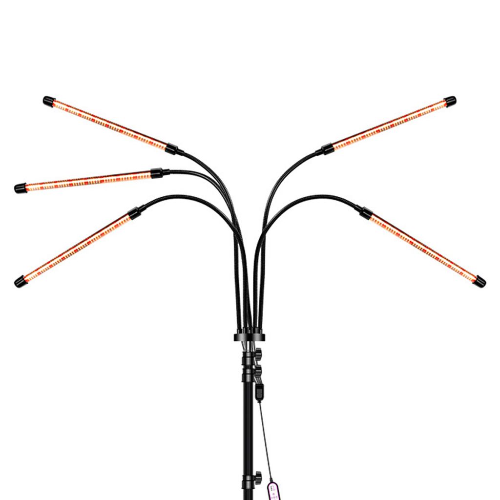 Pflanzenwachstumslicht mit 5 LED-Lampen & Stativ – Vollspektrum-Licht für Sukkulenten, Zimmerpflanzen & Setzlinge, rot-warmem Farbton
