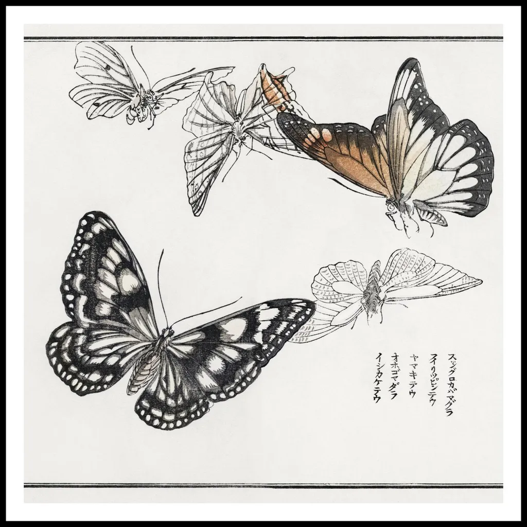Décoration Murale Salon Papillons Japonais 100x100 cm Ambiance Vintage - 2