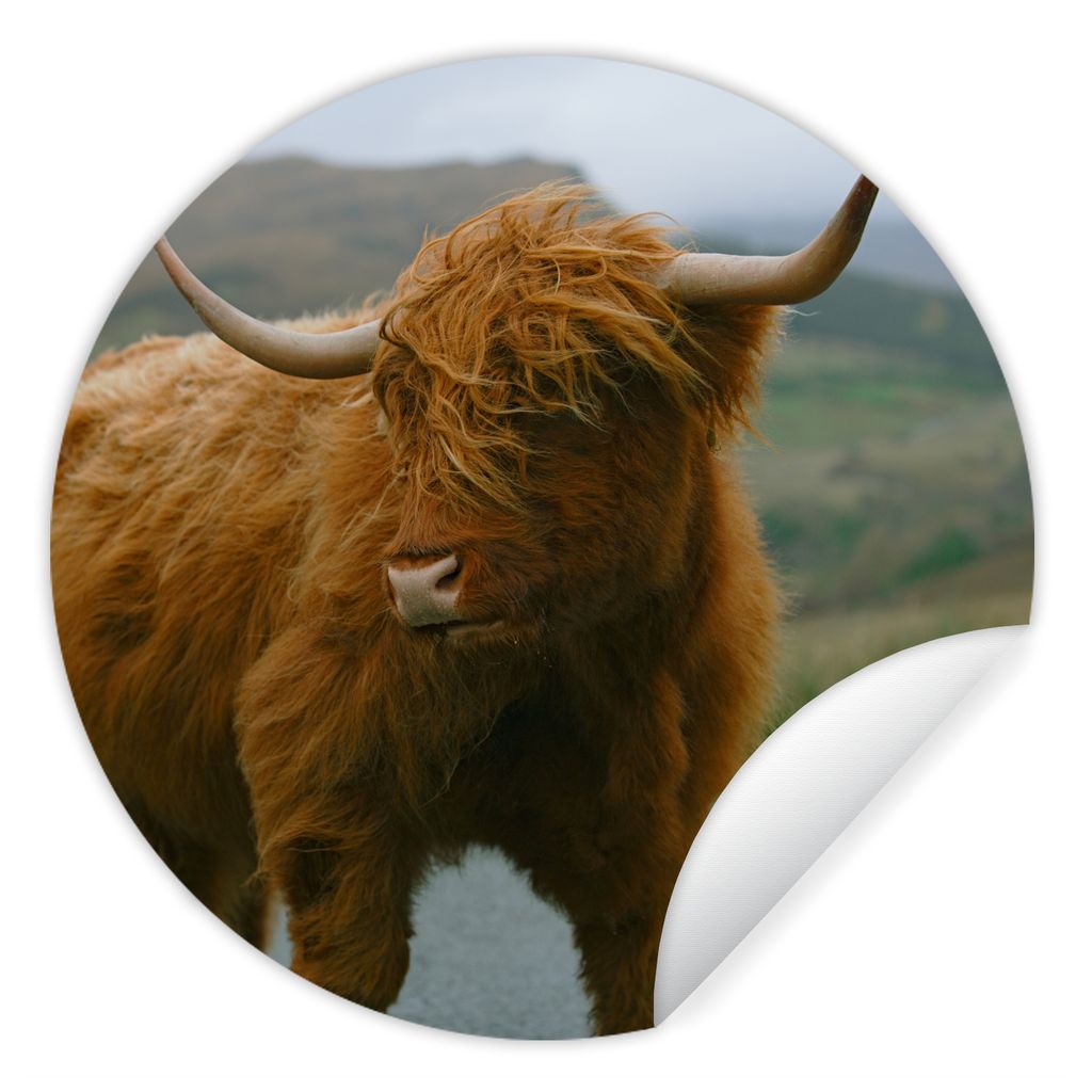 MuchoWow Runde Wandtattoo - Wandsticker Tapete Aufkleber Schottischer Highlander - Berg - Straße Ø 80 cm Selbstklebend und Repositionierbar - W...