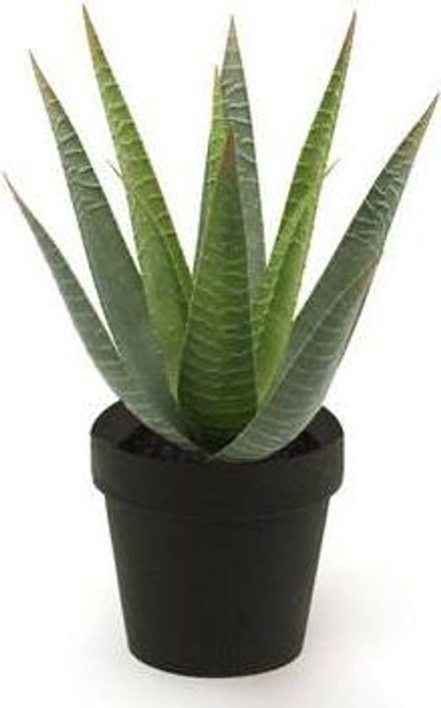 artplants.de Künstliche Sukkulente Aloe Variegata Martinez, grün, 25cm, Ø 17cm