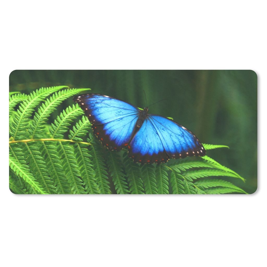 MuchoWow Schreibtischunterlage Morpho-Schmetterling 80x40 cm - XXL Mauspad - Gaming Mauspad