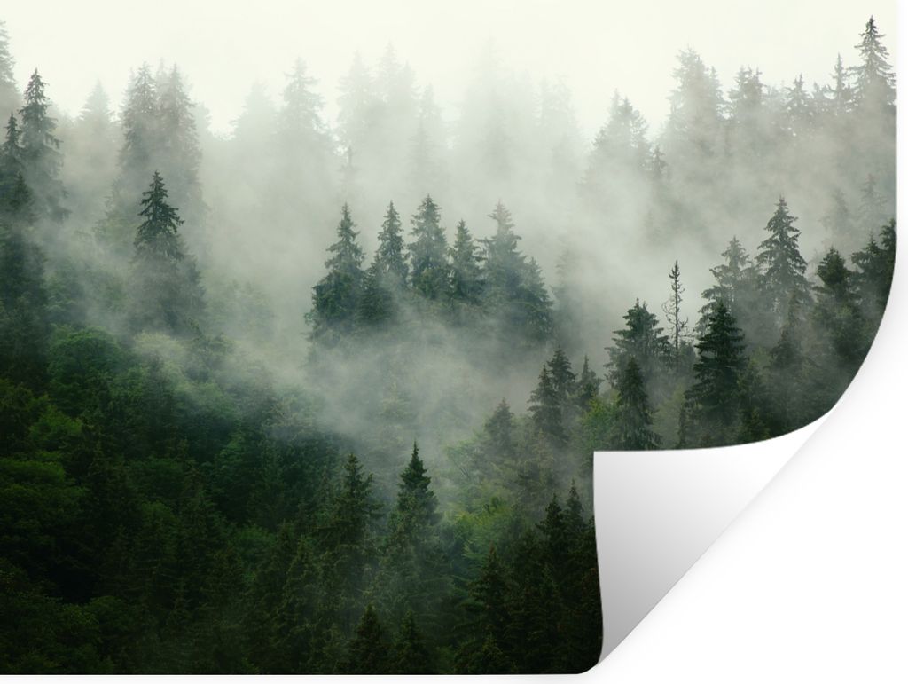 MuchoWow® Wandtattoo Wandsticker Wandaufkleber Wald - Nebel Produktbild 