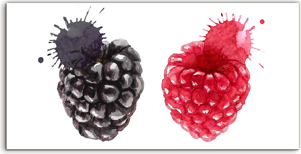 Coloray Acrylbild 120x60 Wandbild Acrylbilder Deko Nachbildung Malarei Beeren schwarz rot